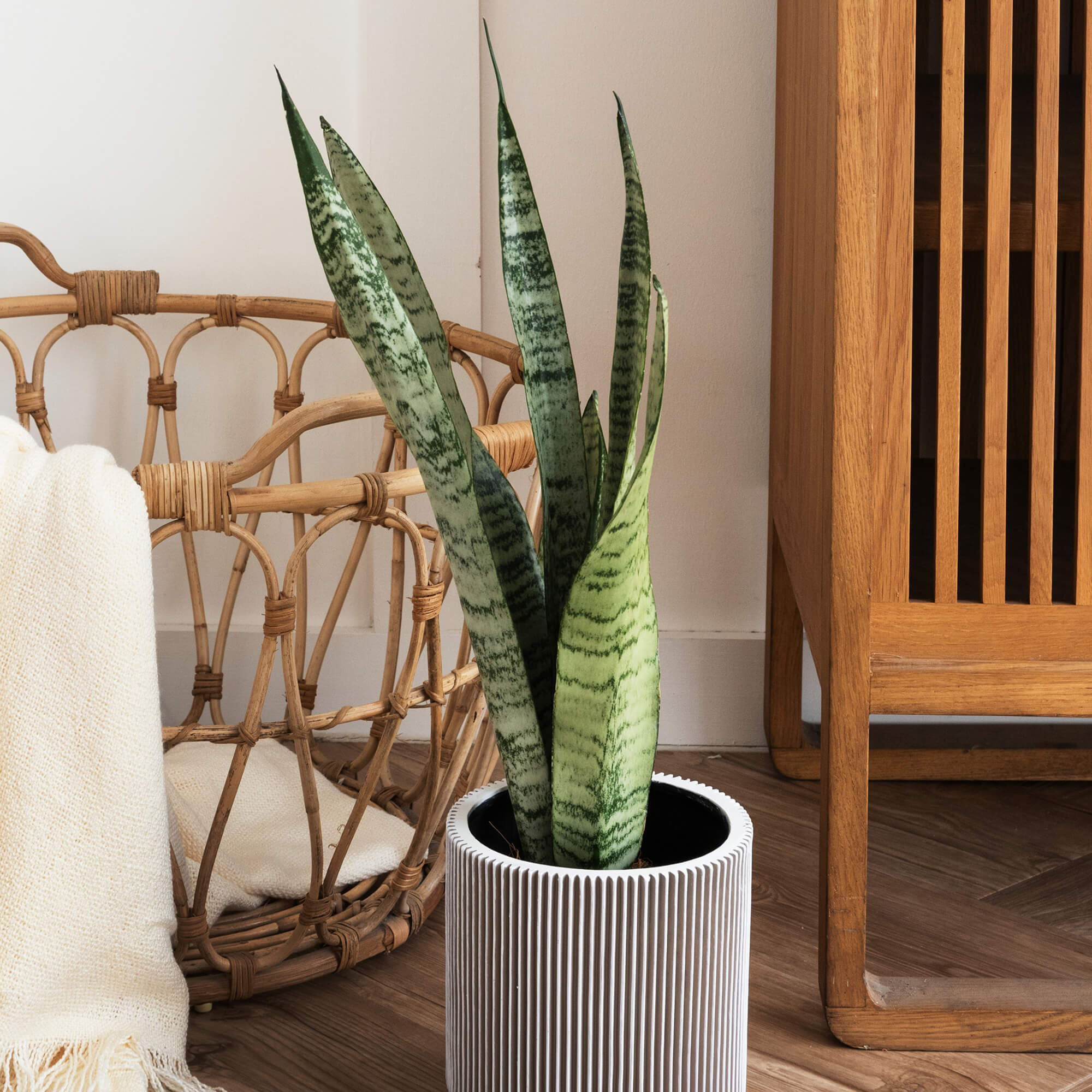 Flare Bowl