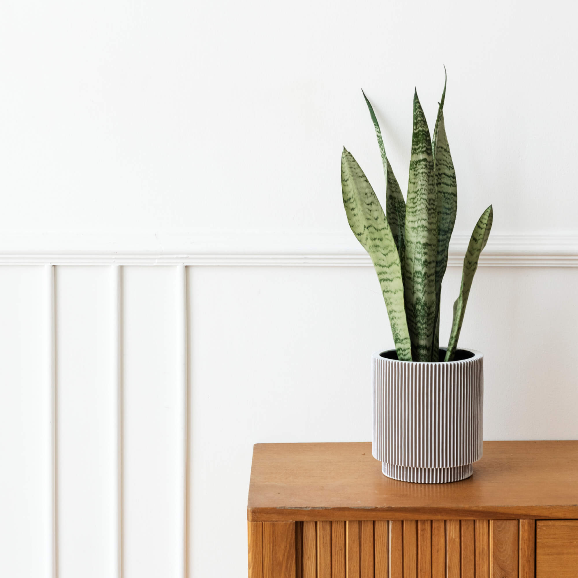 Flare Bowl