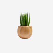 Saddleform Seat