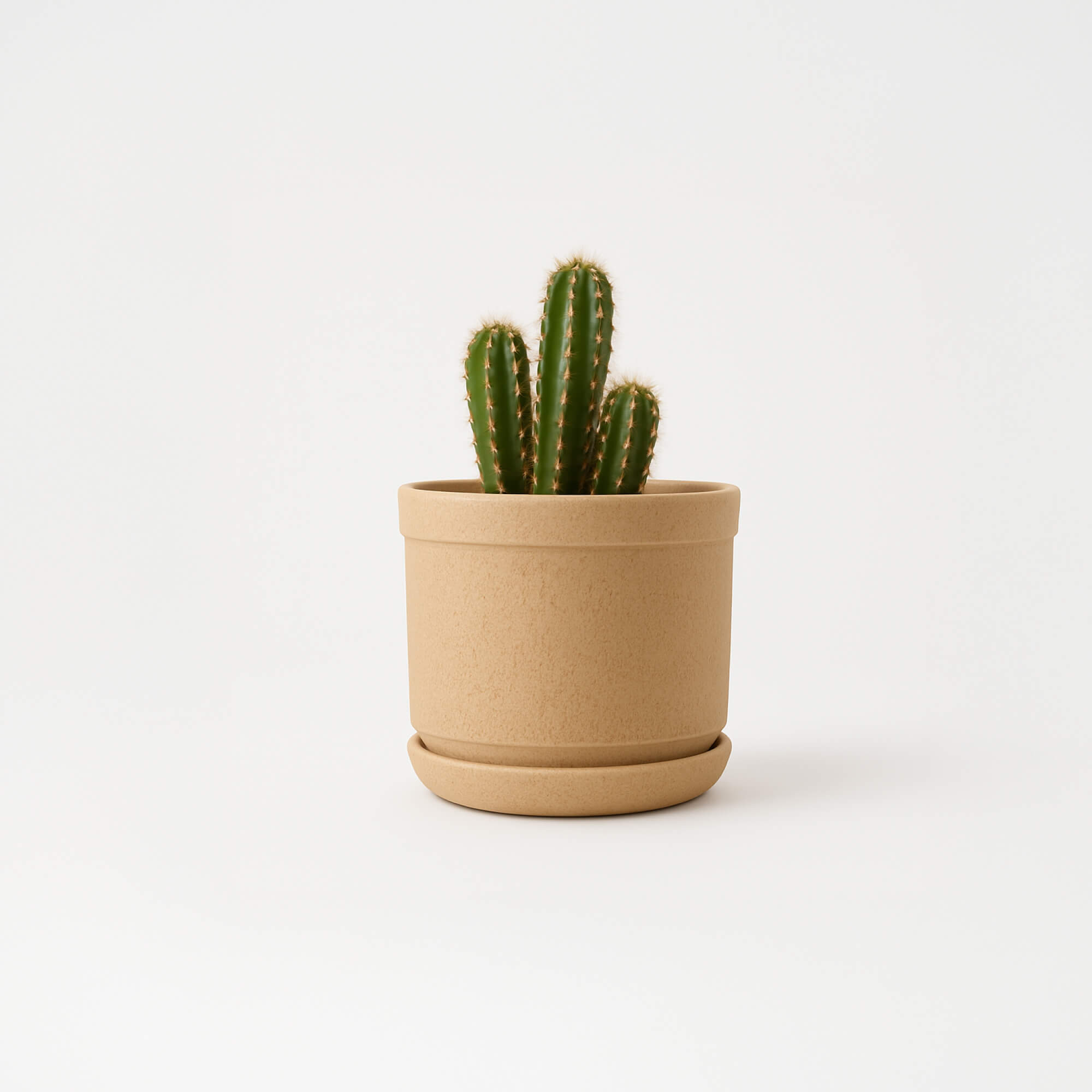 Sand Weave